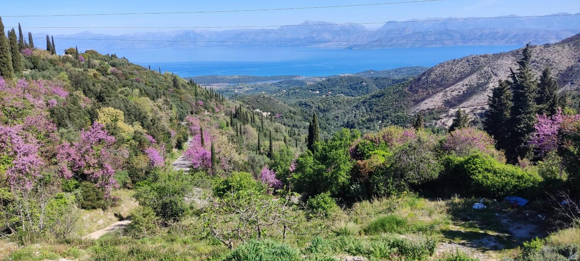דירות Corfu  Castello Di Lafki מראה חיצוני תמונה